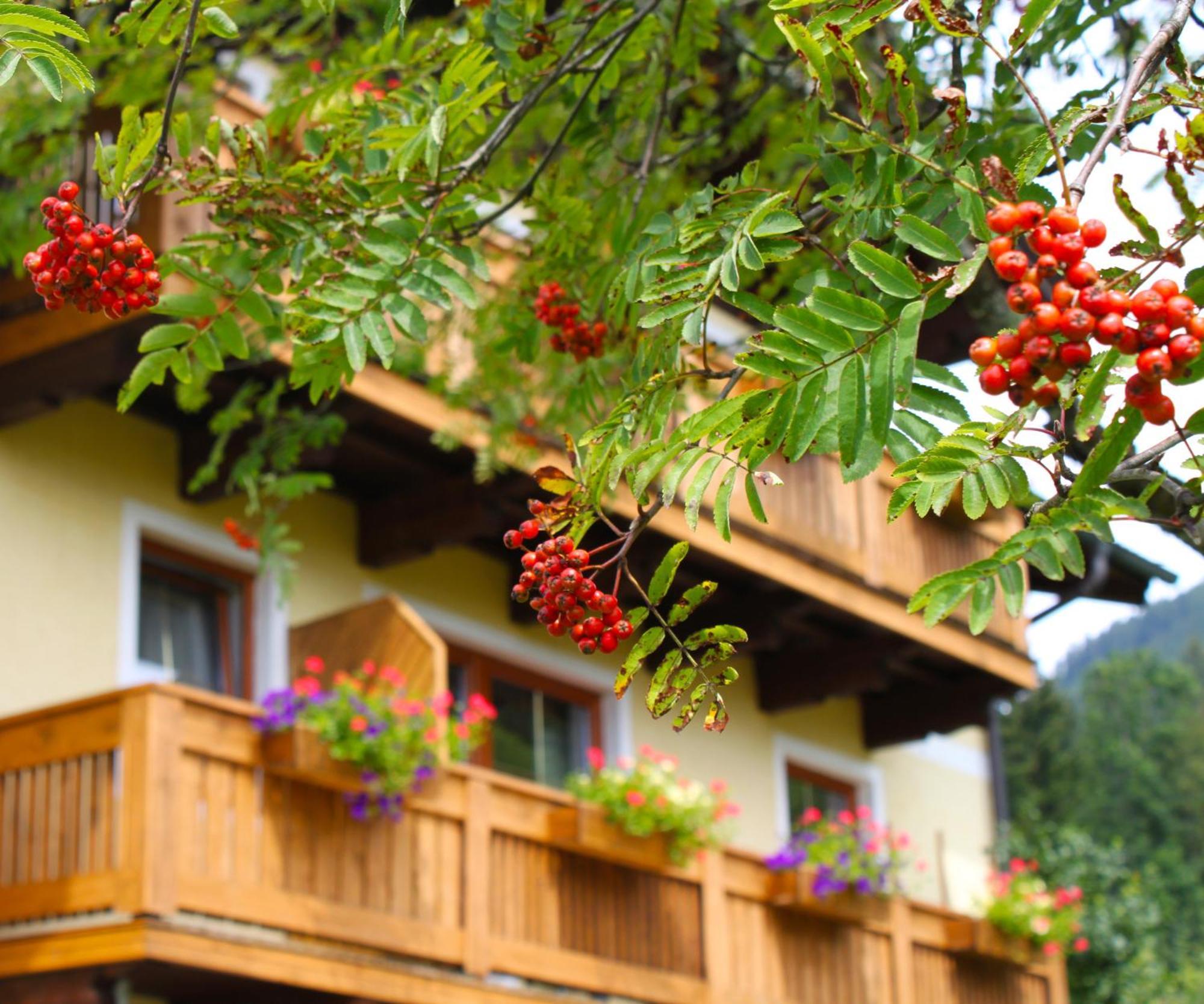 Gasthof Haus Farmer Sankt Martin am Tennengebirge
